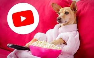 Сила видеомаркетинга: YouTube для создателей онлайн-курсов